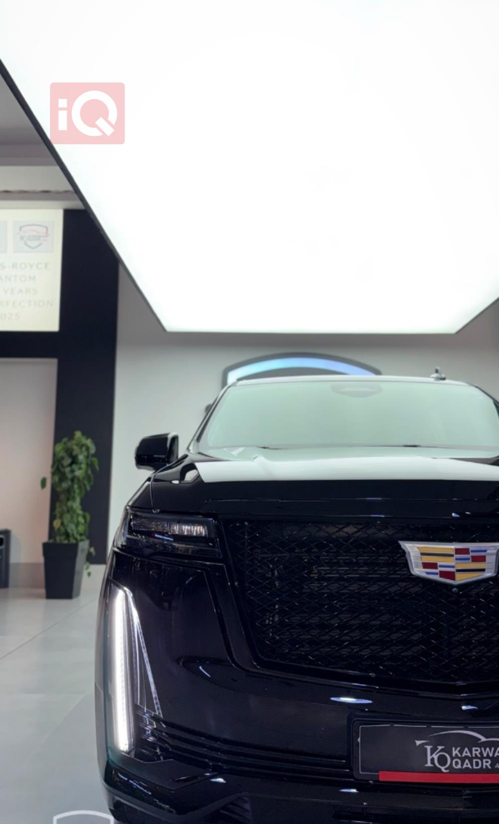 کادیلاک ئێسکەلەید